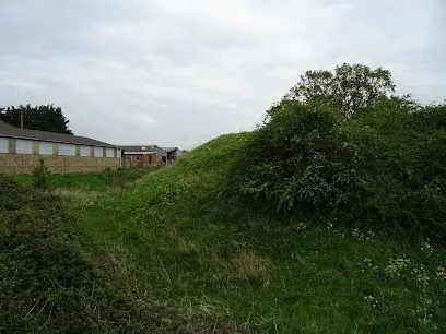 Conger Hill