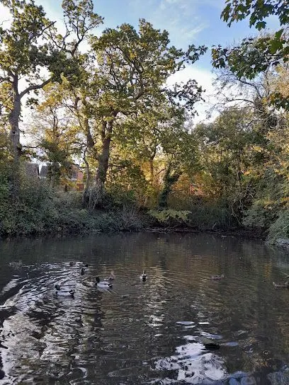 Dew Pond