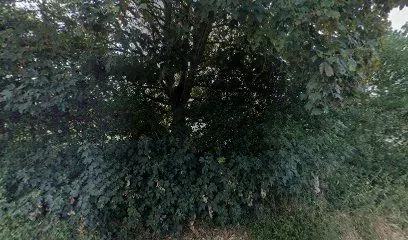 Flitwick park