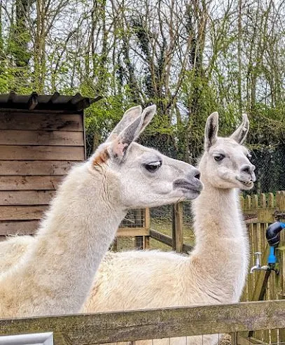 Woodside Animal Farm